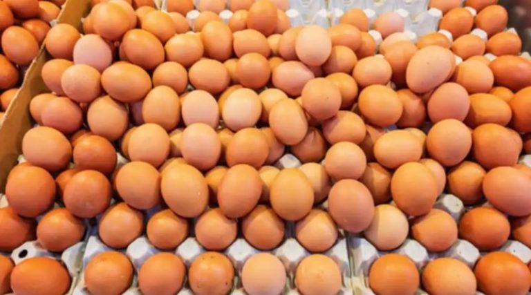 В Україні з 1го лютого будуть по-новому продавати курячі яйця: як зміняться вимоги